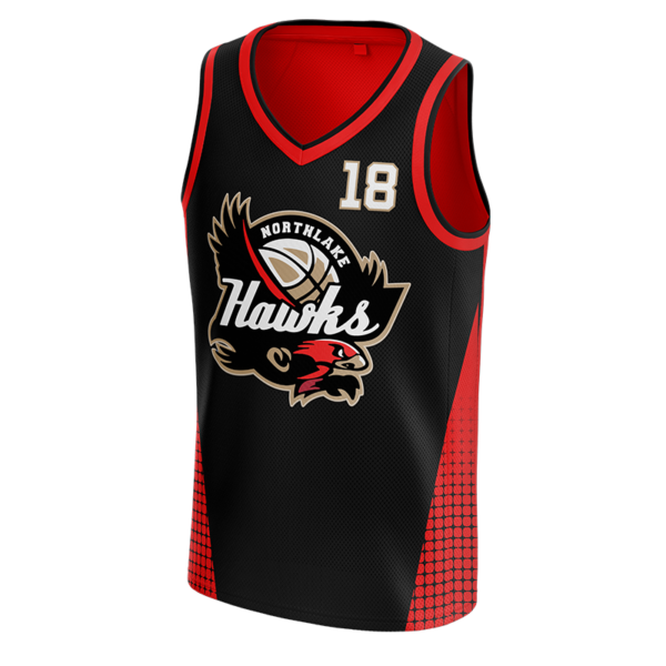 ERIE BAY HAWKS BASKETBALL