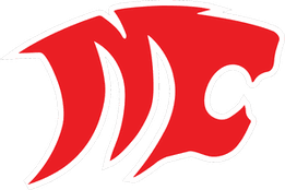Michigan Collegiate