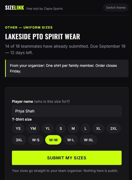 The same one-link order form pointed at a parent group's spirit wear t-shirts